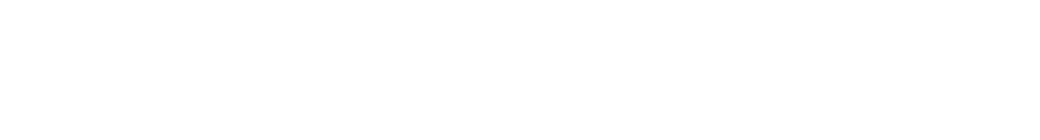 Puenter Agency Wordmark